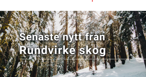Senaste nytt från Rundvirke Skog