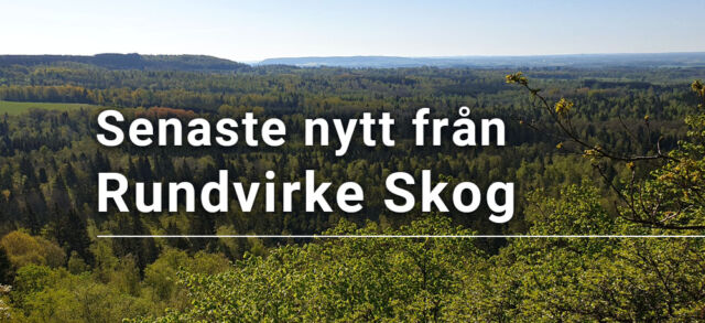 Senaste nytt från Rundvirke Skog