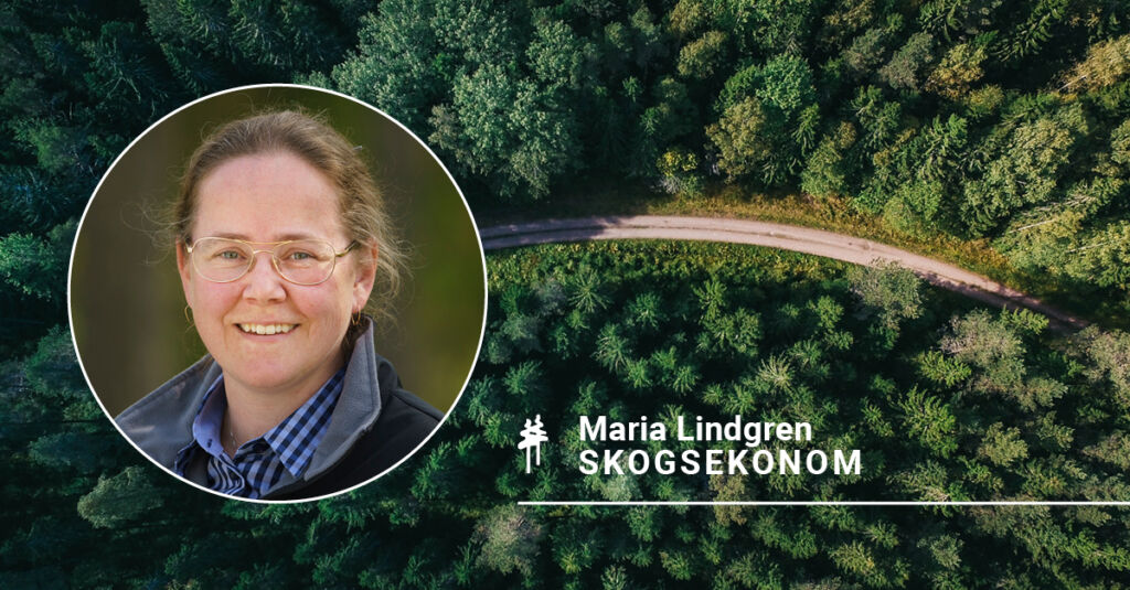 Säg hej till Maria Lindgren – skogsekonom på Rundvirke Skog