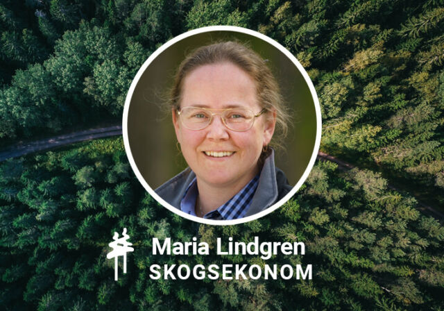 Säg hej till Maria Lindgren – skogsekonom på Rundvirke Skog