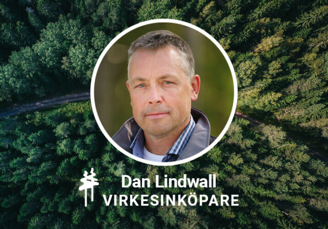 Säg hej till Dan Lindwall – virkesinköpare på Rundvirke Skog