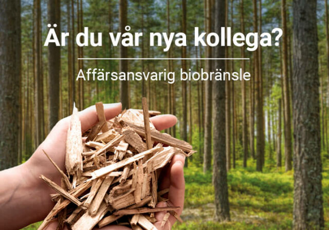 Rundvirke Skog söker Affärsansvarig för biobränsle