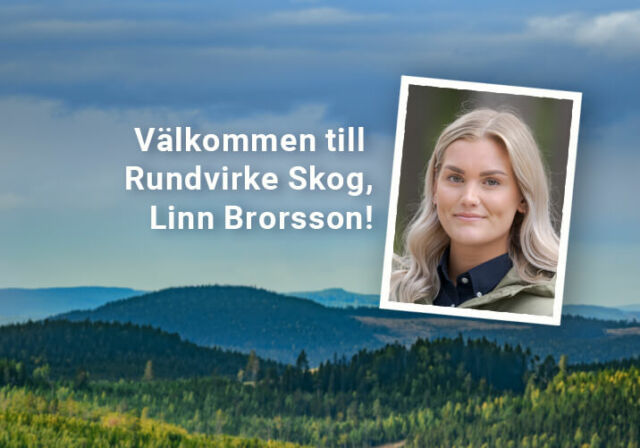 Vi hälsar Linn välkommen som virkesinköpare i mellersta Hälsingland!