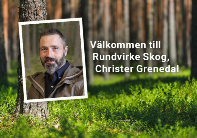 Varmt välkommen, Christer – virkesinköpare i norra Hälsingland