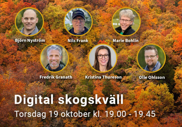 Välkommen till Digital skogskväll med Rundvirke Skog!