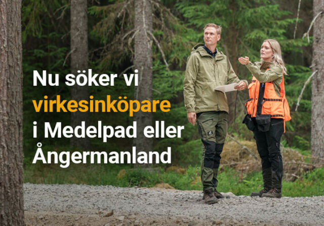 Rundvirke Skog söker virkesinköpare i Medelpad eller Ångermanland