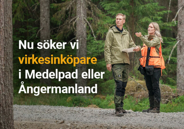 Rundvirke Skog söker virkesinköpare i Medelpad eller Ångermanland