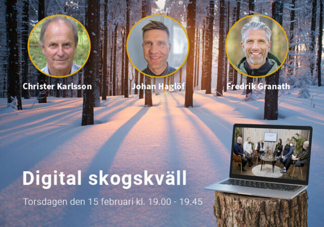 Välkommen till Digital skogskväll med Rundvirke Skog 15 februari!