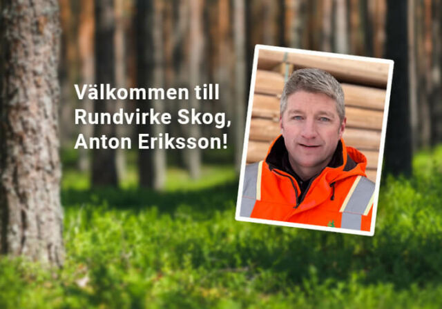 Anton Eriksson stärker upp i skogarna i Västernorrland